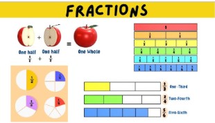 Visual representation of fractions using apples and color-coded segments.